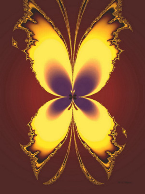 Artwork code: 01-wings/01_72